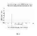 Fig. 21 - METHODS AND SYSTEMS FOR DETERMINING VASCULAR BODILY LUMEN INFORMATION AND GUIDING MEDICAL DEVICES