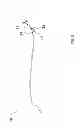 Fig. 48 - METHODS AND SYSTEMS FOR DETERMINING VASCULAR BODILY LUMEN INFORMATION AND GUIDING MEDICAL DEVICES