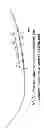 Fig. 67 - METHODS AND SYSTEMS FOR DETERMINING VASCULAR BODILY LUMEN INFORMATION AND GUIDING MEDICAL DEVICES