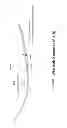 Fig. 69 - METHODS AND SYSTEMS FOR DETERMINING VASCULAR BODILY LUMEN INFORMATION AND GUIDING MEDICAL DEVICES