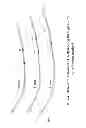 Fig. 70 - METHODS AND SYSTEMS FOR DETERMINING VASCULAR BODILY LUMEN INFORMATION AND GUIDING MEDICAL DEVICES