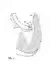 Fig. 06 - Calibration system for a pressure-sensitive catheter