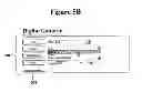 Fig. 07 - System and method for community aided research and shopping