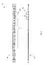 Fig. 09 - DETERMINING COMMERCIAL SHARE OF WALLET
