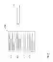 Fig. 08 - METHOD OF HIGH SPEED DOWNLOADING