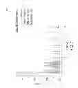 Fig. 07 - ESTIMATING POTENTIAL MESSAGE VIEWING RATES OF TWEETS