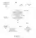 Fig. 02 - Identifying web pages having relevance to a file based on mutual agreement by the authors