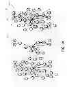 Fig. 02 - Internal linking co-convergence using clustering with hierarchy