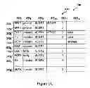 Fig. 09 - Electronic personal companion