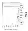 Fig. 03 - Sharing pattern-based directory coherence for multicore scalability (“SPACE”)
