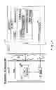 Fig. 50 - STORAGE SYSTEM IN WHICH INFORMATION IS PREVENTED