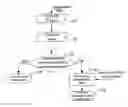 Fig. 01 - Efficient key derivation for end-to-end network security with traffic visibility