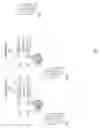 Fig. 06 - Methods and apparatus for validating a digital signature
