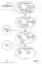 Fig. 08 - INTEGRATION OF TRANSACTIONAL ACTIONS INTO ANALYTICAL REPORTS