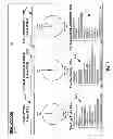 Fig. 07 - Methods for predicting one or more defects in a computer program and devices thereof