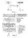 Fig. 02 - Automating calls between separate and distinct applications for invoking an identity verification function