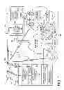 Fig. 02 - Apparatus, systems and methods for media content delivery