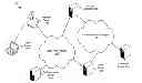 Fig. 01 - Systems and methods for enhanced engagement