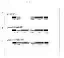 Fig. 02 - TARGETED CELL DEATH