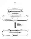 Fig. 02 - Mice that produce hybrid antibodies
