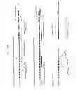 Fig. 08 - Mice that produce hybrid antibodies