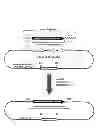 Fig. 02 - Genetically modified mice that produce hybrid antibodies