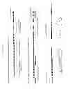 Fig. 08 - Genetically modified mice that produce hybrid antibodies