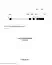 Fig. 57 - Plants Having Improved Growth Characteristics and Methods for Making the Same