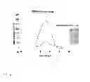 Fig. 11 - AGRONOMIC TRAITS VIA GENETICALLY INDUCED ELEVATION OF PHYTOHORMONE LEVELS IN PLANTS