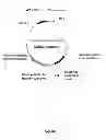 Fig. 02 - Plants Having Enhanced Yield-Related Traits and Producing Methods Thereof
