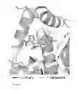 Fig. 02 - SULFONYLUREA-RESPONSIVE REPRESSOR PROTEINS