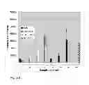 Fig. 07 - SULFONYLUREA-RESPONSIVE REPRESSOR PROTEINS