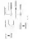Fig. 03 - Screening method for selecting plants that show reduced wound-induced surface discolouration and plant and plant parts thus obtained