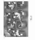 Fig. 09 - Screening method for selecting plants that show reduced wound-induced surface discolouration and plant and plant parts thus obtained