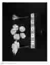Fig. 03 - Cherry tree named 'SWEET SARETTA'