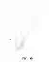 Fig. 10 - Upward extending brush for floor cleaner