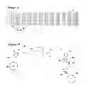 Fig. 06 - Process for manufacturing to a tape with specific pattern interval