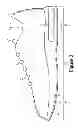 Fig. 03 - Fluid-filled chambers with tether elements