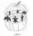 Fig. 07 - Display Kit