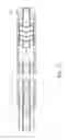 Fig. 09 - Device for producing a gun barrel and a gun barrel