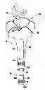 Fig. 01 - Handheld Bouquet Container