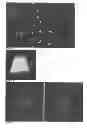 Fig. 03 - Method for determining a cut for a gemstone