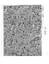 Fig. 22 - METHODS AND APPARATUS TO DETERMINE DIFFUSION PROPERTIES OF POROUS STRUCTURES FOR DRUG DELIVERY