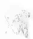 Fig. 03 - Encapsulated Preformed Shapes