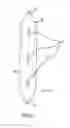 Fig. 02 - Method and system for a towed vessel suitable for transporting liquids