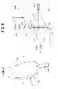 Fig. 08 - REDUCED-FAT CHOCOLATE COATING FORMED BY SPRAYING