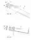 Fig. 09 - MODULAR ANIMAL EXERCISE STRUCTURE