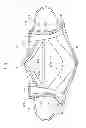 Fig. 04 - MASK