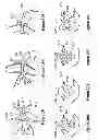 Fig. 16 - Oral interface and method using the same