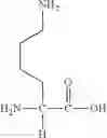 Fig. 56 - Polymers, compositions and methods of use for foams, laundry detergents, shower rinses and coagulants